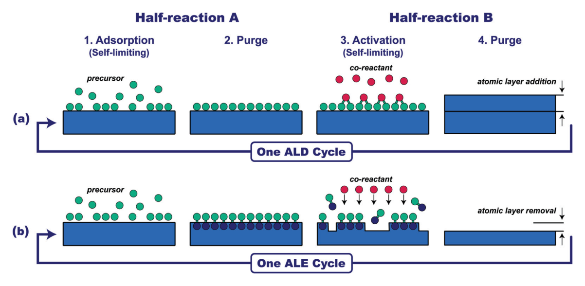 ALD ALE cycle